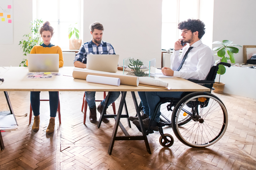 Réinsertion Professionnelle des Handicapés en France